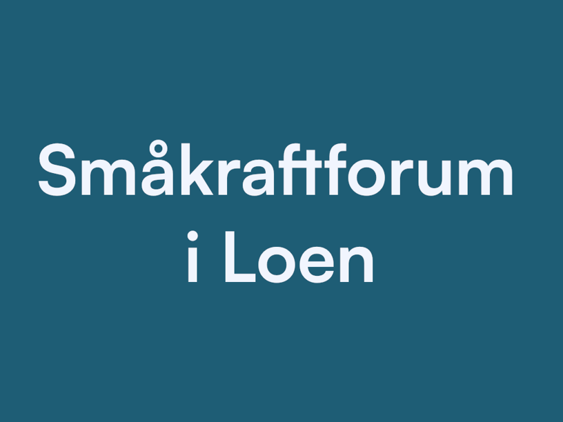 Småkraftforum I Loen 4 3