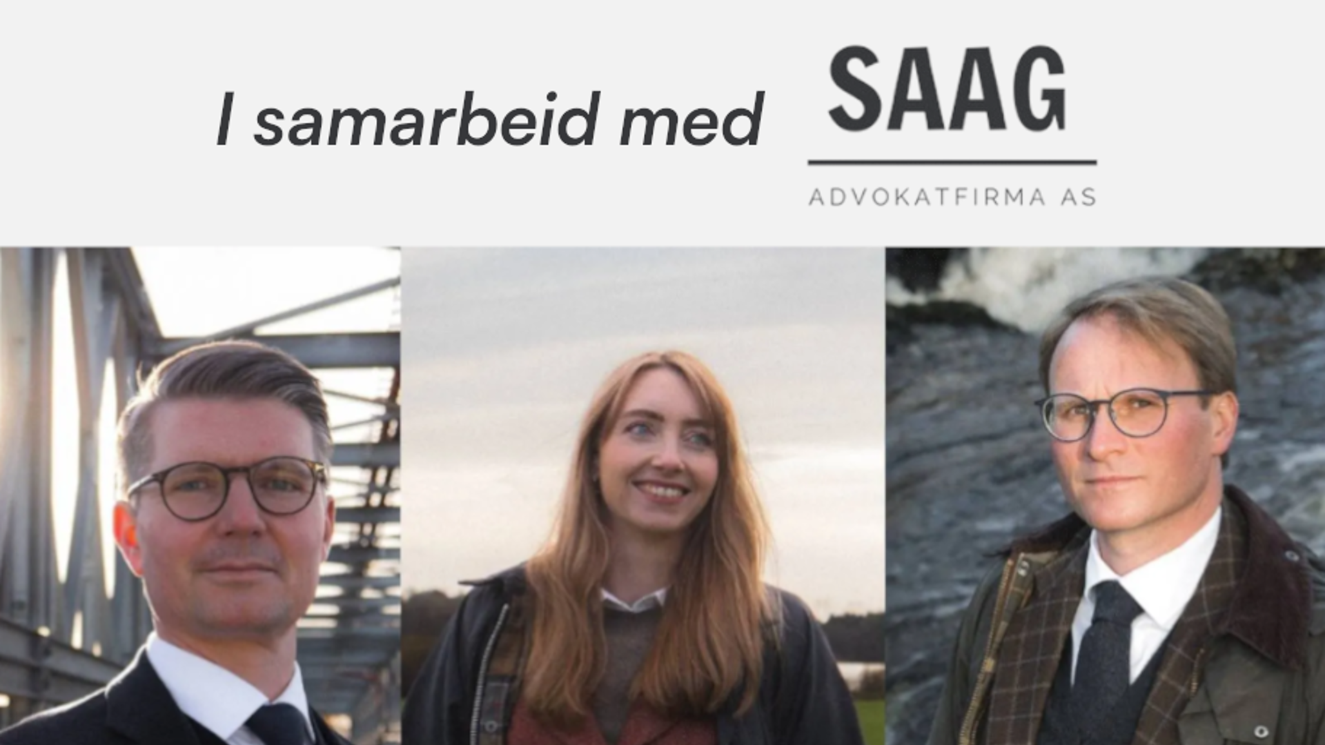 Saag (3)